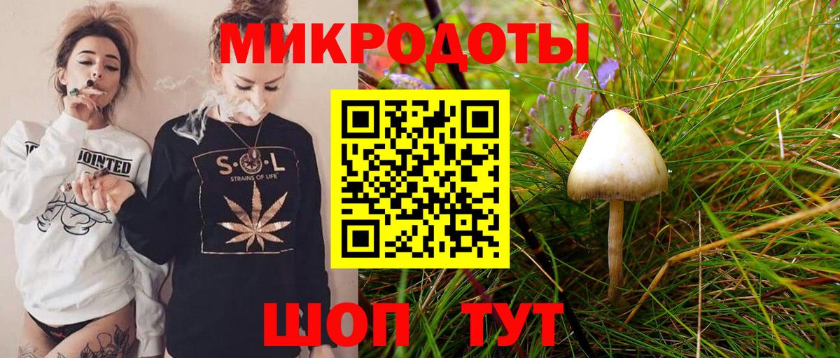 Избербаш  Псилоцибиновые грибы MAGIC MUSHROOMS  Вход с VPN  Галлюциногенные грибы мухоморы 