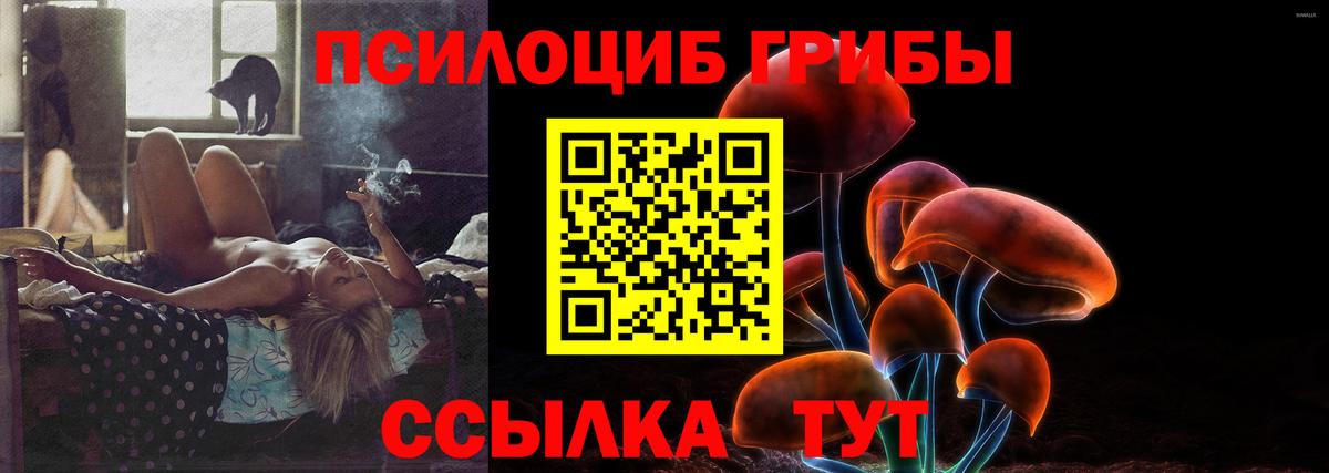 Галлюциногенные грибы прущие грибы Избербаш