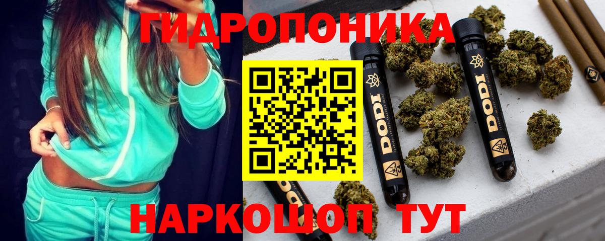 Бошки Шишки планчик Избербаш